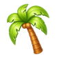 summer category